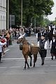 altenburg-trachtenfest-03-06-2012 (303)